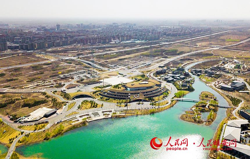 航拍雄安郊野公園。人民網(wǎng)宋燁文攝