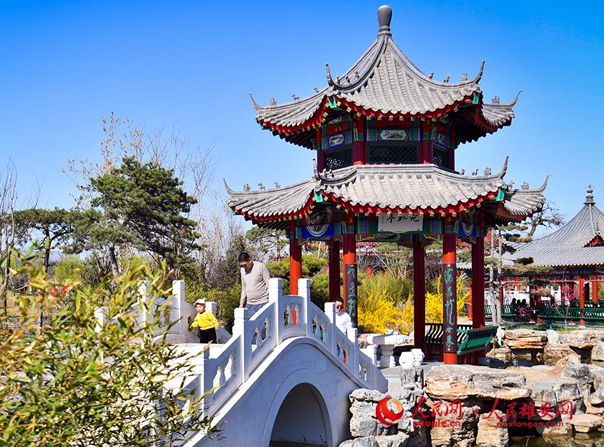 春天的雄安郊野公園，春和景明。人民網(wǎng)宋燁文攝