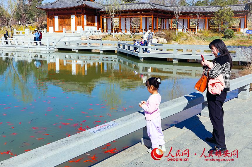 雄安悅?cè)莨珗@一角，不少家長帶著孩子前來游玩。人民網(wǎng)宋燁文攝