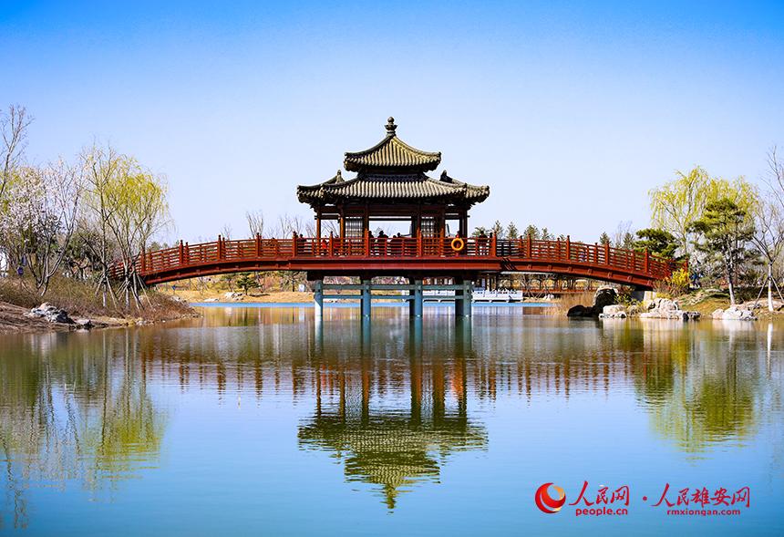 雄安悅?cè)莨珗@一角，微風(fēng)吹動水面，泛起陣陣漣漪。人民網(wǎng)宋燁文攝