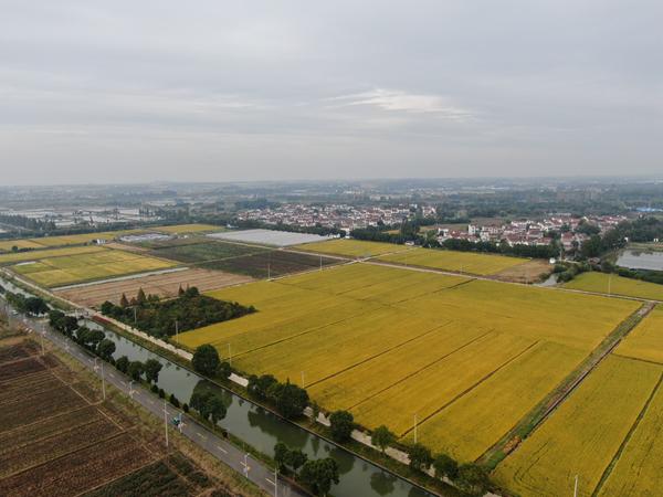 雙游村。受訪者供圖