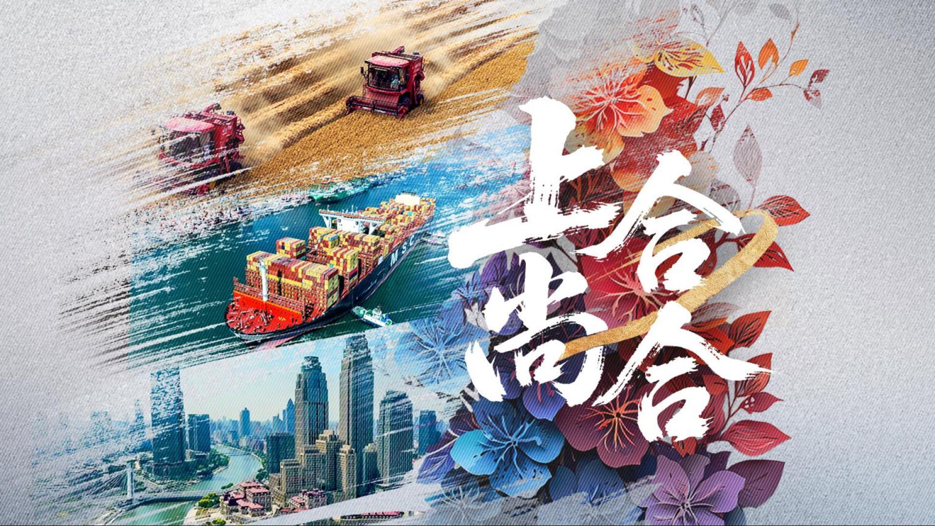 紀錄片丨上合，尚合